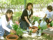 6/16ガーデニング(寄せ植え)講習会風景